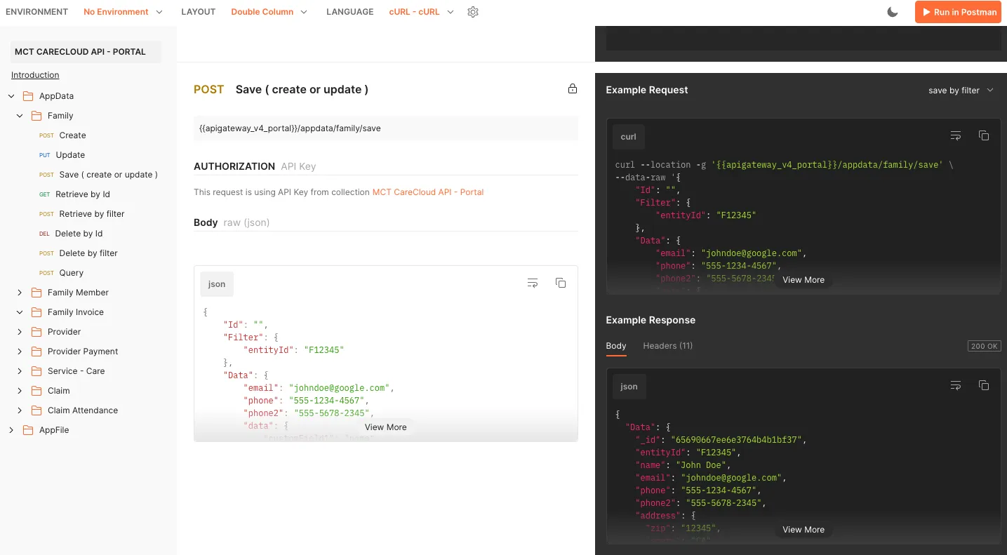API Document