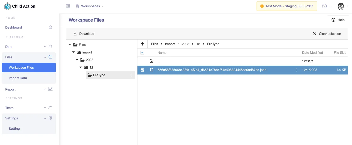 workspace files